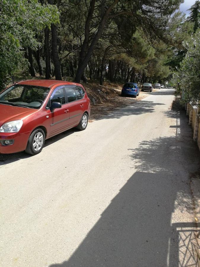 Pineta With Terrace & Park Wood View Apartment