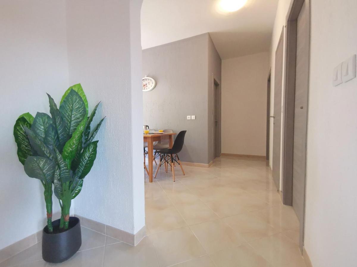 Pineta With Terrace & Park Wood View