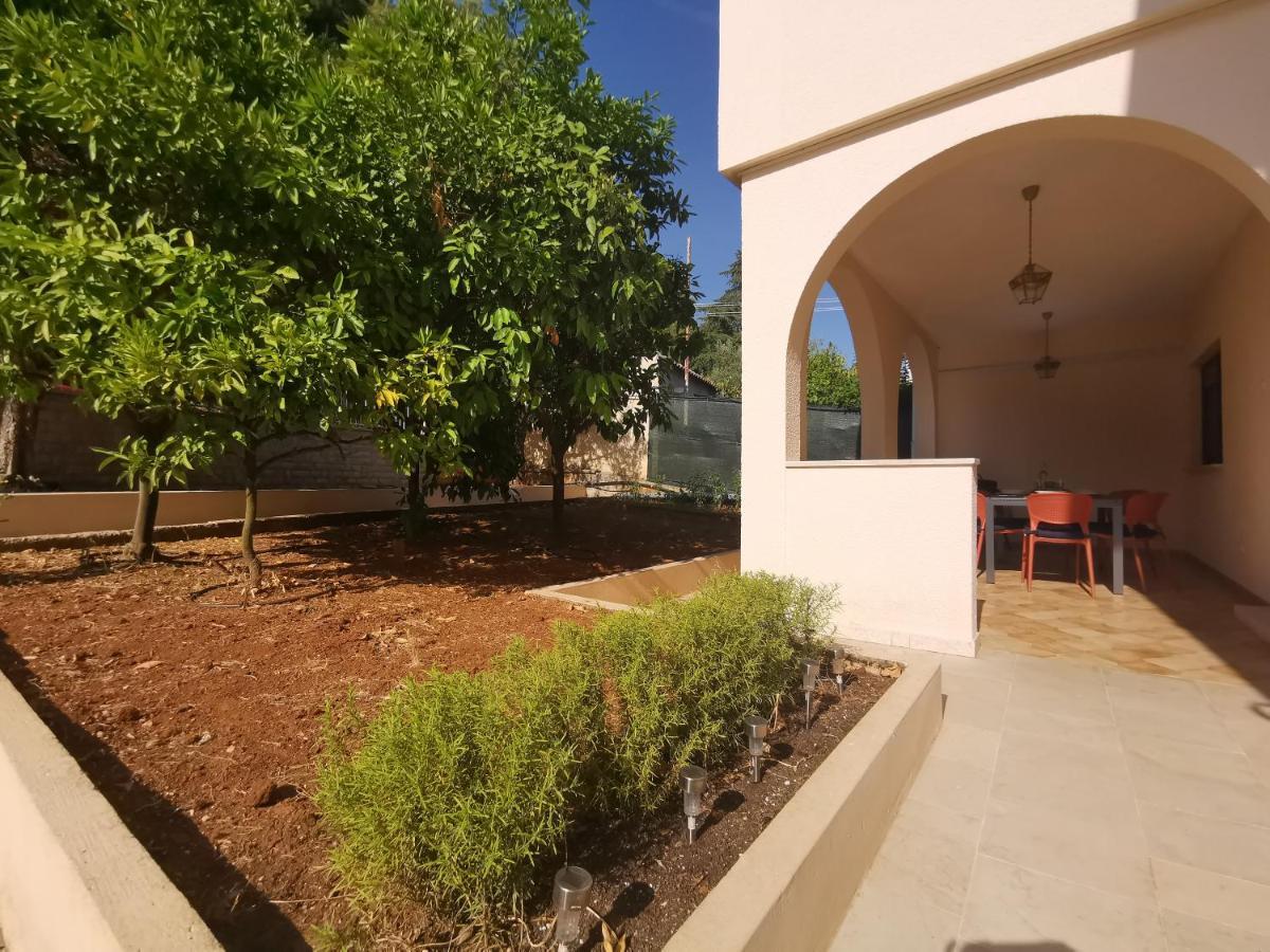 Apartment Pineta With Terrace & Park Wood View *